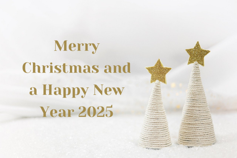 Merry Christmas and a Happy New Year 2025